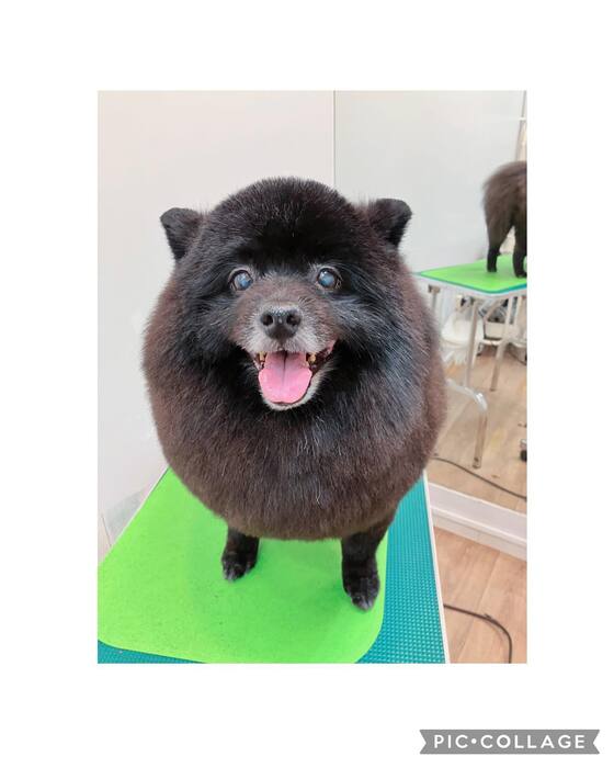 画像691
