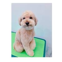 画像697