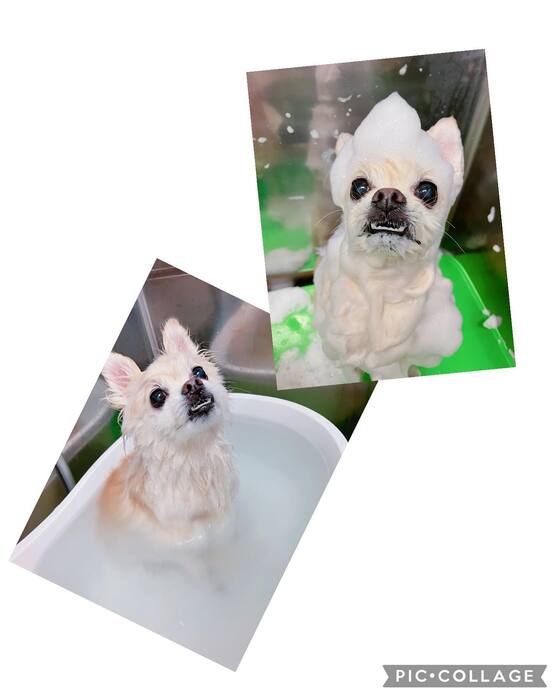 画像713