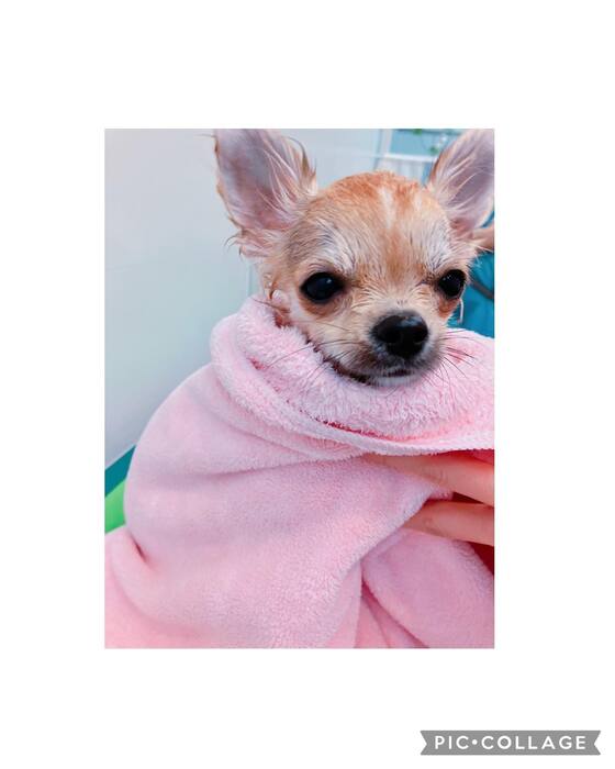 画像754