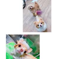 画像773