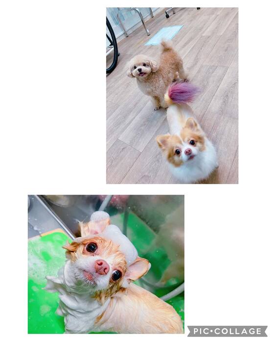 画像773