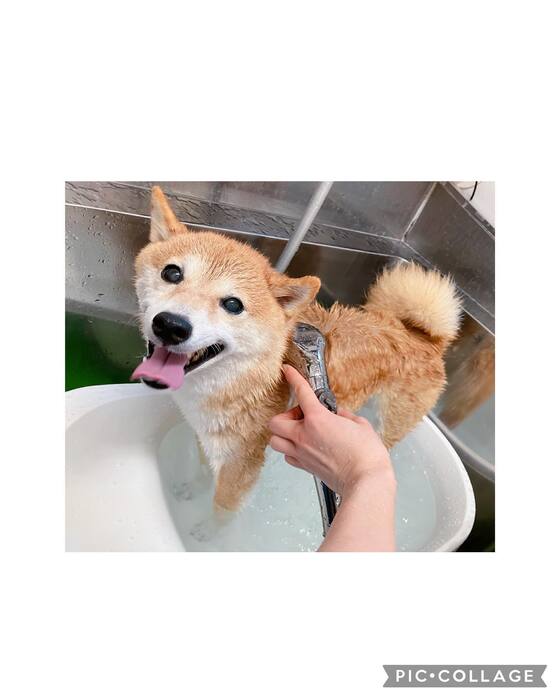 画像822